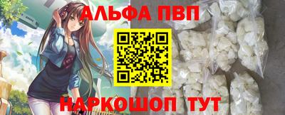 тгк Кингисепп