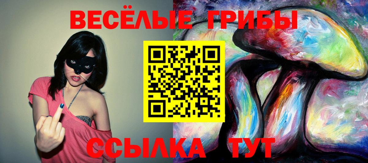 Псилоцибиновые грибы прущие грибы  Вход с VPN  Магадан 